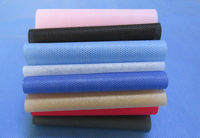 南圣镇涤纶（PET）无纺布是什么